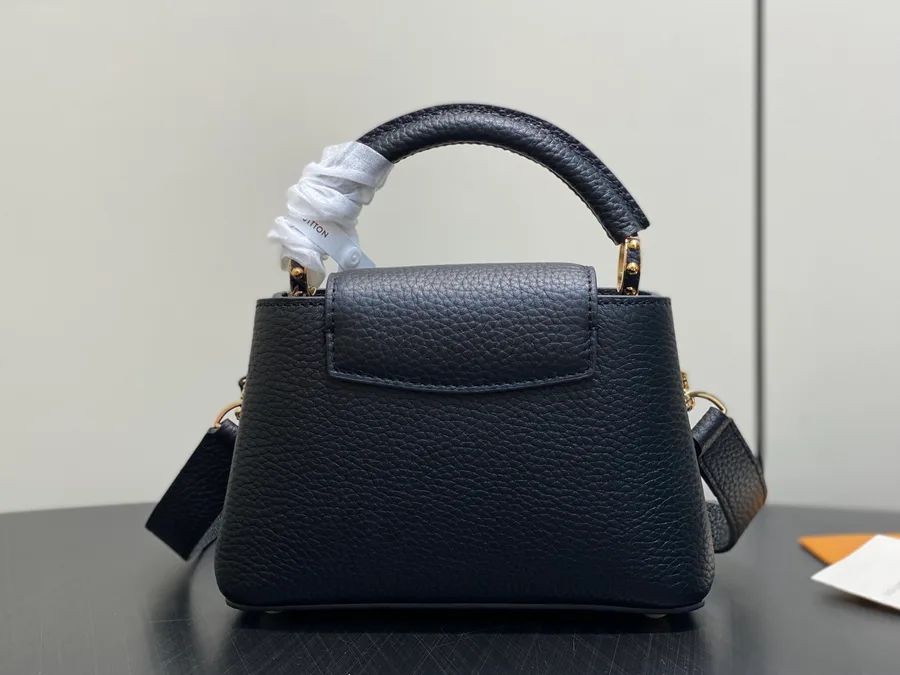 LV Capucines BB bag angle catalog photo