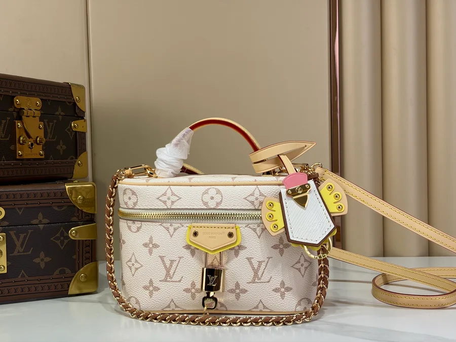 LV Vanity Chain Pouch Bag Gallery Highlights — catalog photo